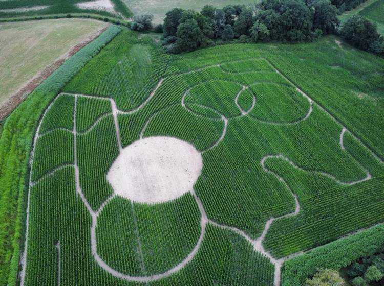 Labyrinthe de Chalosse