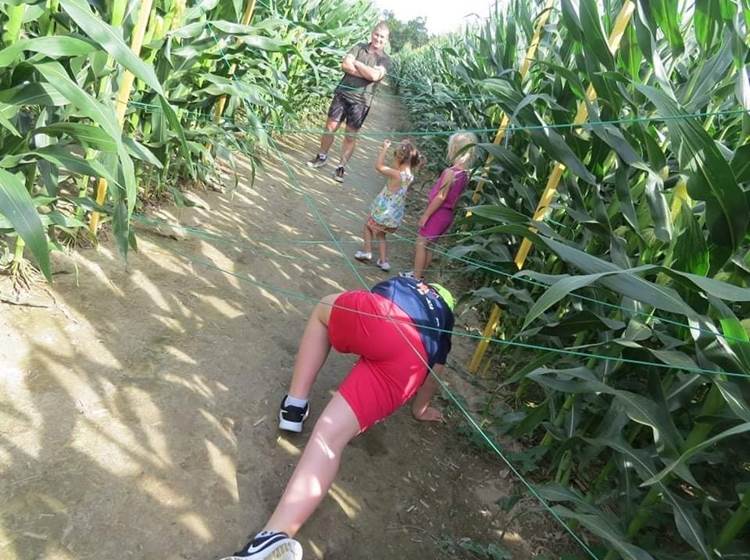 Labyrinthe de Chalosse